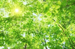 太陽光発電におけるパワーコンディショナーの選び方のポイント